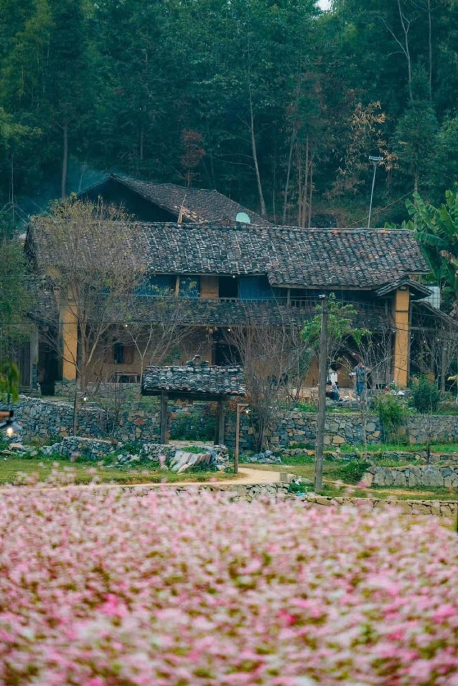 Voi Meo Vac Hostel & Breakfast Zewnętrze zdjęcie